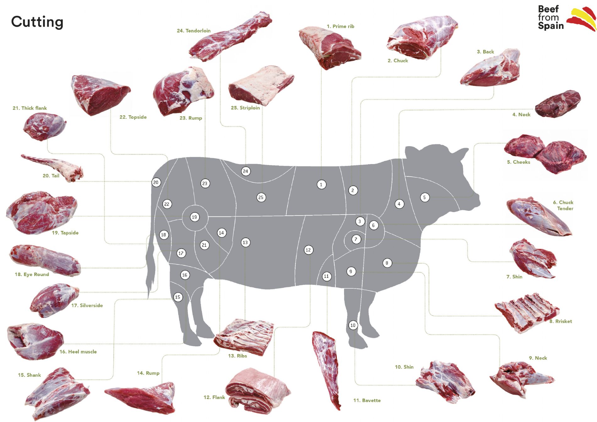 Parts Of A Cow Meat In Spanish All About Cow Photos